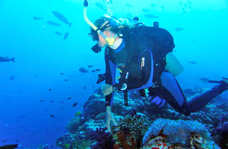 Volunteer-Teach-and-Intern-in-Europe-Frontier marine conservation in Europe