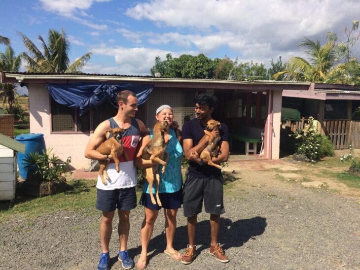 animal-rescue-IVI VolunteerForever